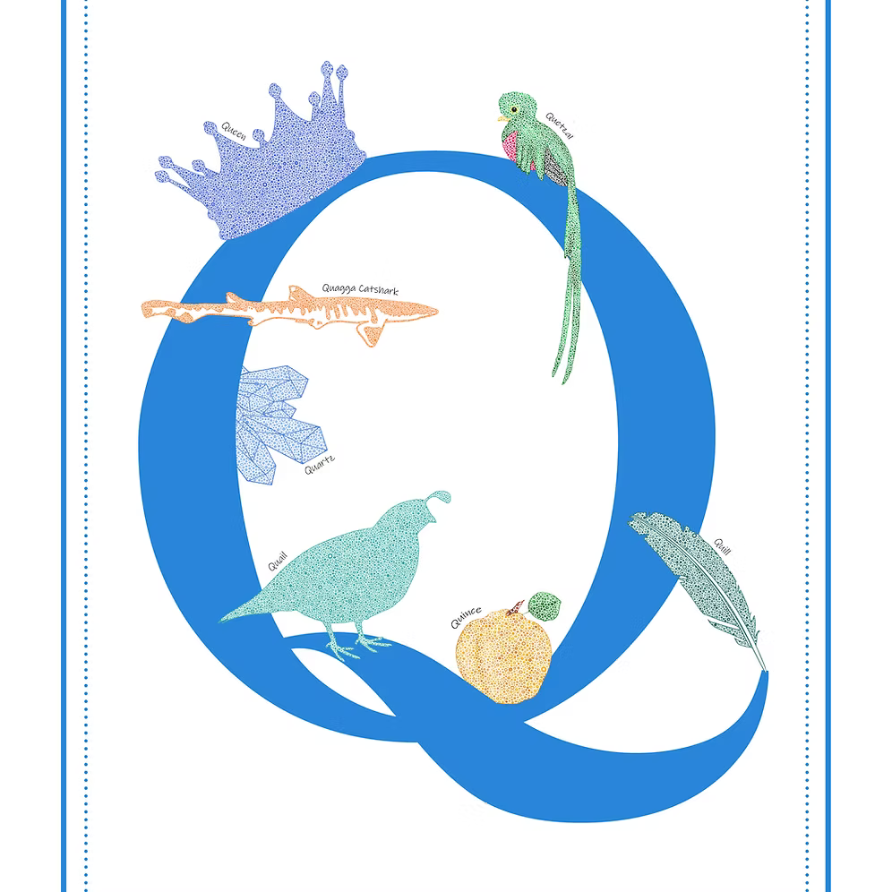 Q Initial Print