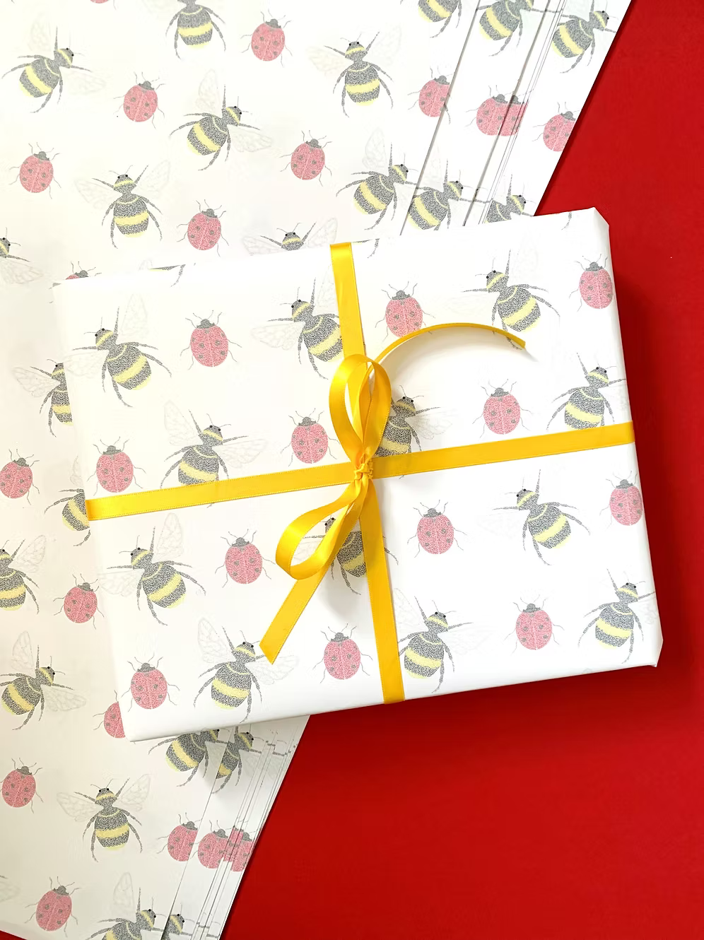 Bee and Ladybird wrapping paper