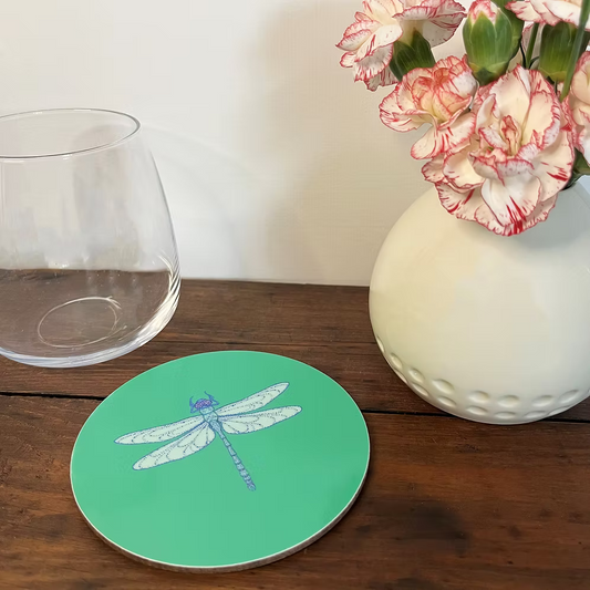 Dragonfly Coaster