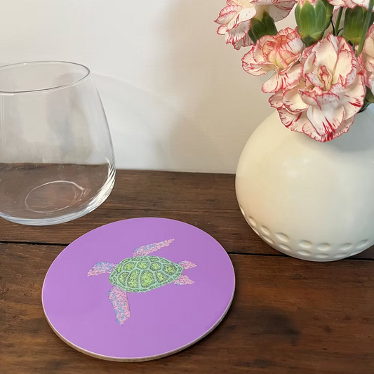 Turtle Coaster