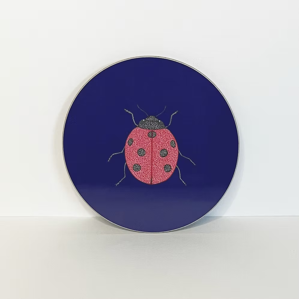 Ladybird Coaster