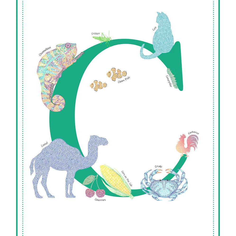 C Initial Print