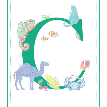 C Initial Print