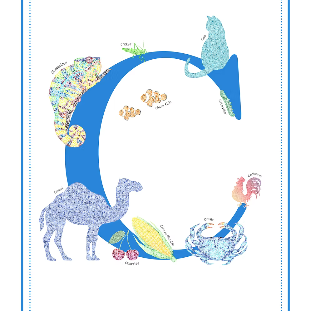 C Initial Print
