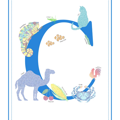 C Initial Print