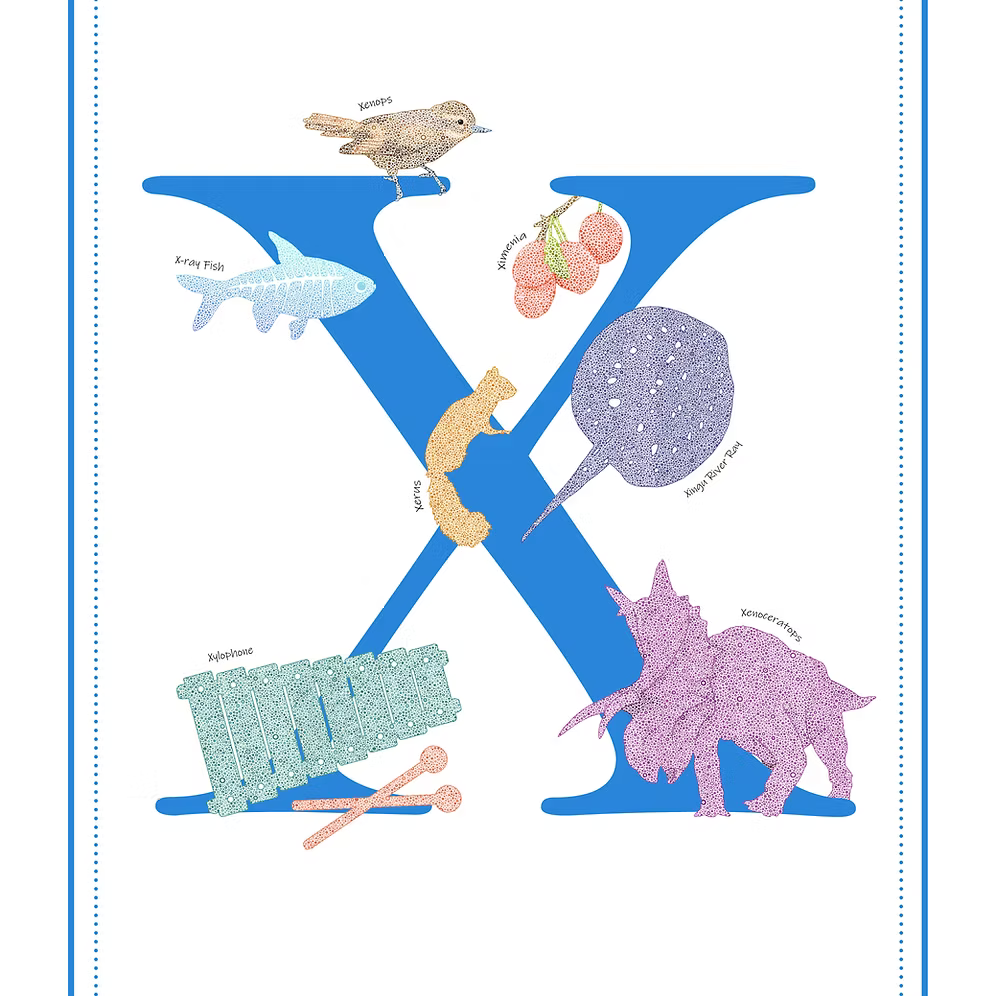 X Initial Print