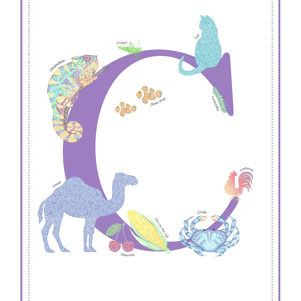 C Initial Print
