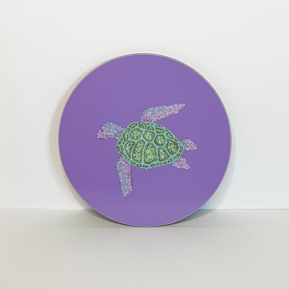 Turtle Coaster