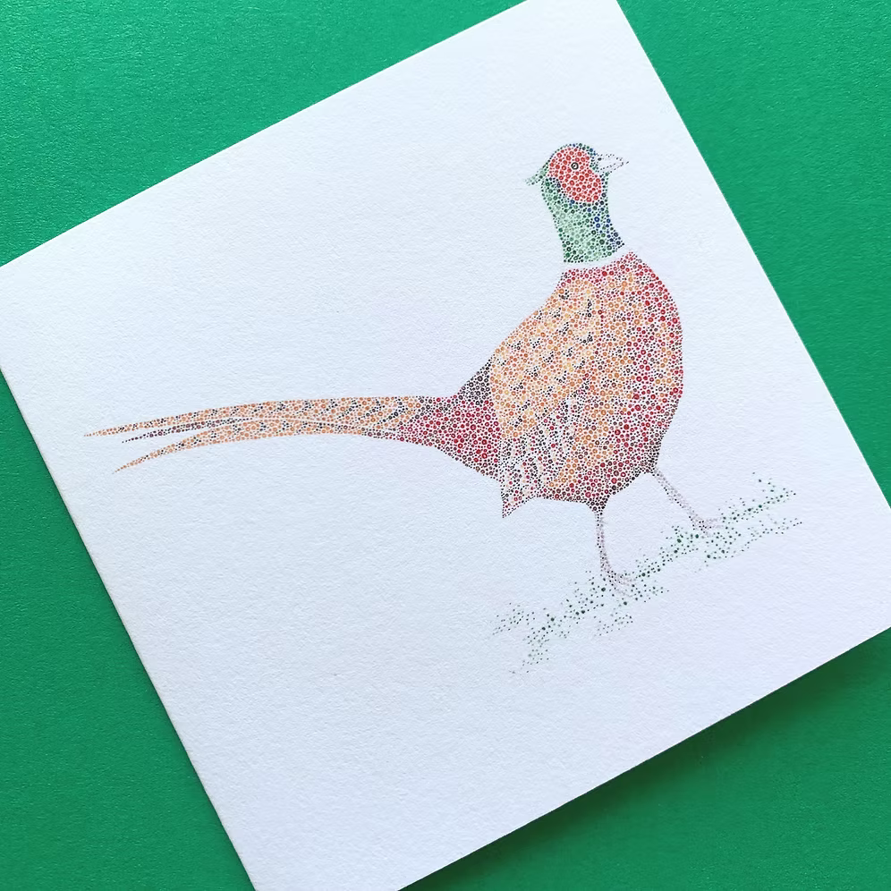 Pheasant mini cards